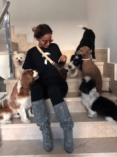 Anitta e seus cinco cachorros - Reprodução/Instagram