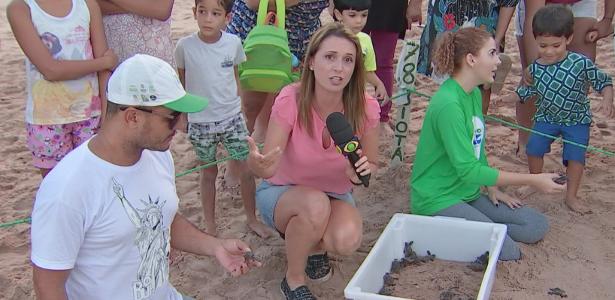 A repórter Michelle Trombelli mostra luta dos ativistas e os projetos de preservação dos corais - Divulgação - Divulgação