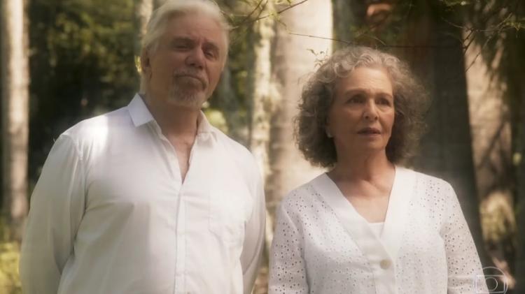 Reginaldo Faria e Irene Ravache em cena de "Espelho da Vida" - Reprodução/Globo - Reprodução/Globo