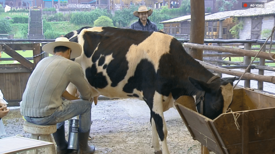 Diego Grossi ordenha vaca pela primeira vez em A Fazenda 2019 - Reprodução/RecordTV
