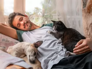 6 truques para fortalecer vínculo com seu gato e melhorar harmonia com cães