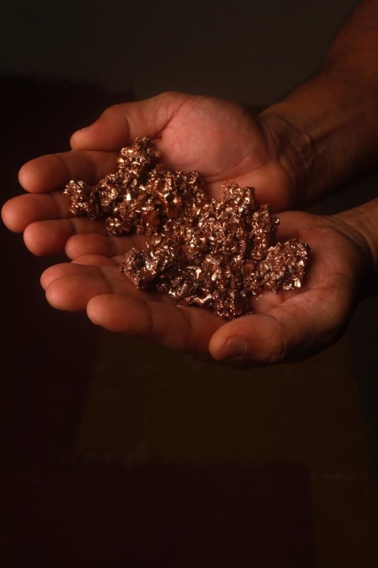 Chocolate Gaudens, do Pará - Divulgação - Divulgação