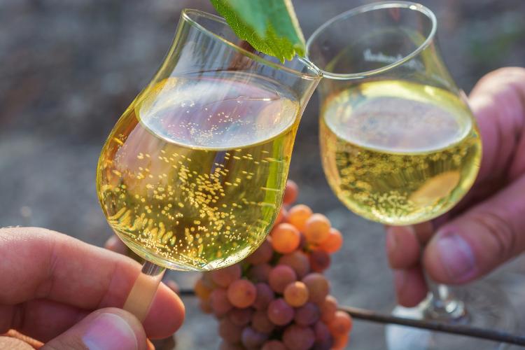 Gewürztraminer: uma das opções para sair da mesmice em vinhos brancos - Getty Images/iStockphoto - Getty Images/iStockphoto