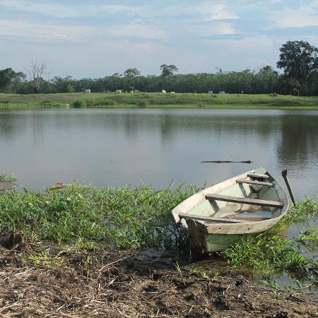 No Amazonas, pequeno lago fica isolado do Rio Solimões, conforme o nível da água baixou. Peixes e até um jacaré ficaram aprisionados ali