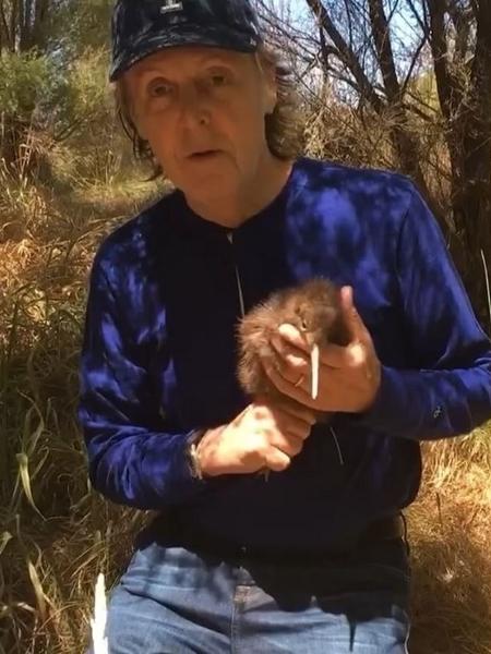  Paul McCartney e um pássaro kiwi - Reprodução
