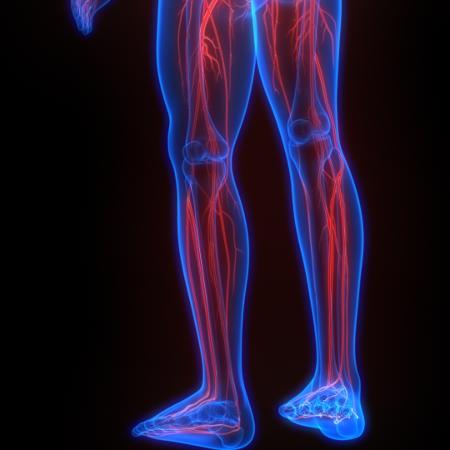 A doença de Blount é conhecida por provocar deformidades nas pernas - iStock