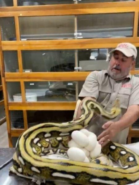 Dono de zoológico nos EUA escapa de ataque de cobra - Reprodução/Instagram