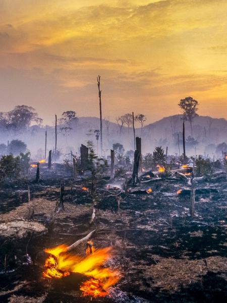 De acordo com a WWF-Brasil, atualmente cerca de um terço do desmatamento da Amazônia está relacionado à atividade de grileiros - iStock