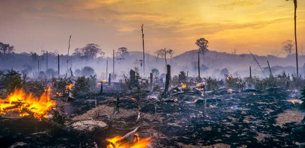 Desmatamento na Amazônia