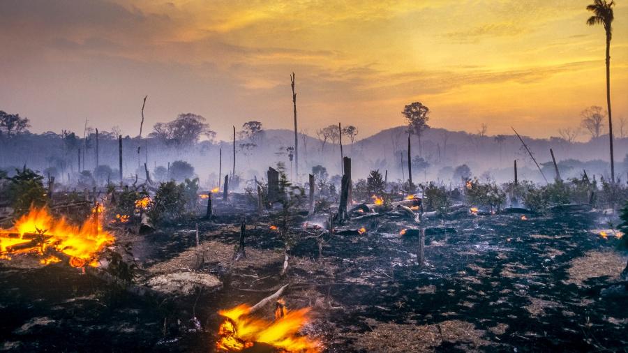 Queimadas e desmatamento levaram a Amazônia a um cenário de preocupação de pesquisadores - iStock