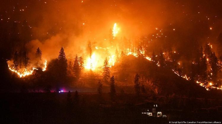 Incêndios florestais canadenses de 2023 foram até 50% mais intensos devido ao aquecimento global