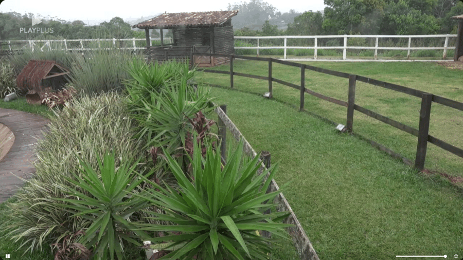 A Fazenda 2024: Câmeras saíram dos participantes e mostraram apenas área dos animais