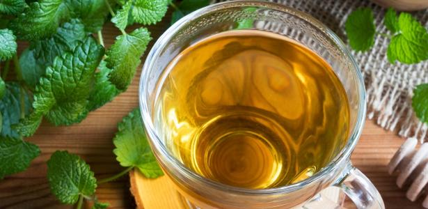 7 benefícios da erva-cidreira e como preparar o chá corretamente