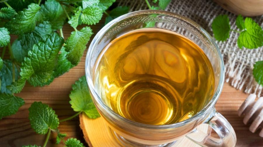 7 benefícios da erva-cidreira e como preparar o chá corretamente