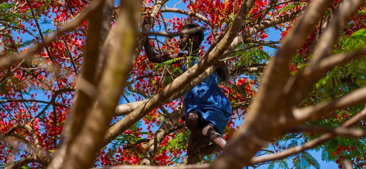 Grãos: Foto de Sheila Manuel (Moçambique) - Victor Balde/Jouis Fotografia