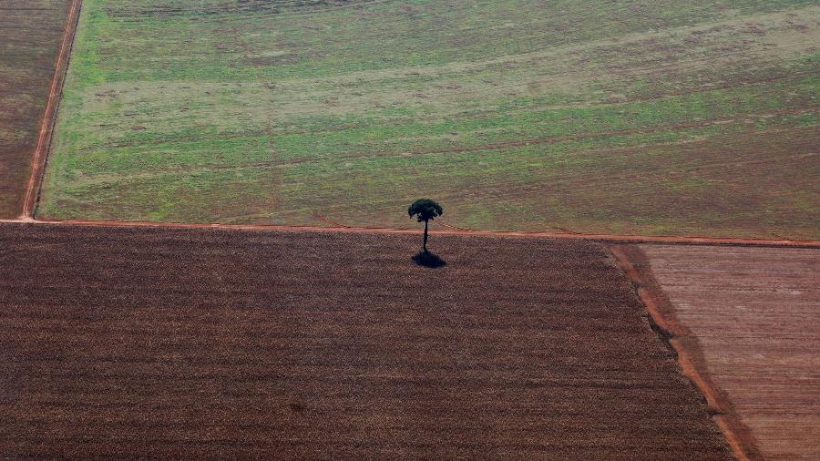 Vista aérea de uma lavoura no município de Sinop, no Mato Grosso