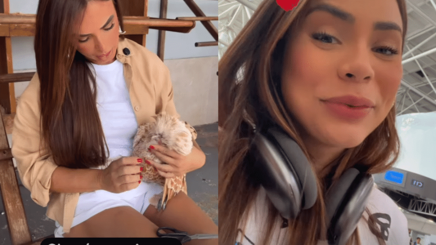 Nicole Bahls dá nome de Lexa para galinha de sua fazenda - Reprodução/Instagram