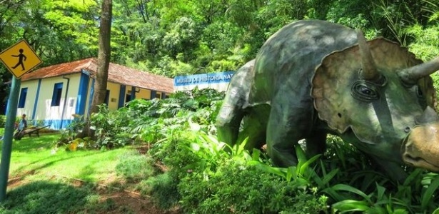 Museu de História Natural e Jardim Botânico da UFMG - Divulgação - Divulgação