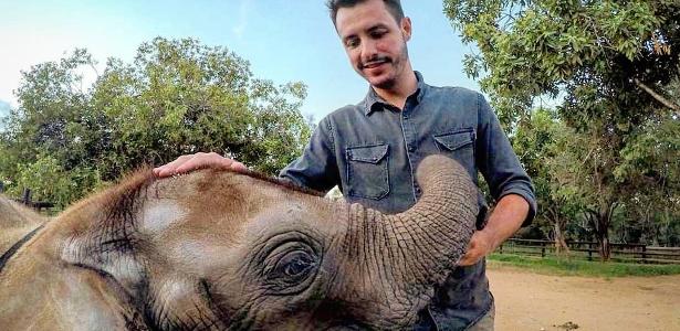 Os Mistérios da Savana Africana - Record TV/Divulgação - Record TV/Divulgação