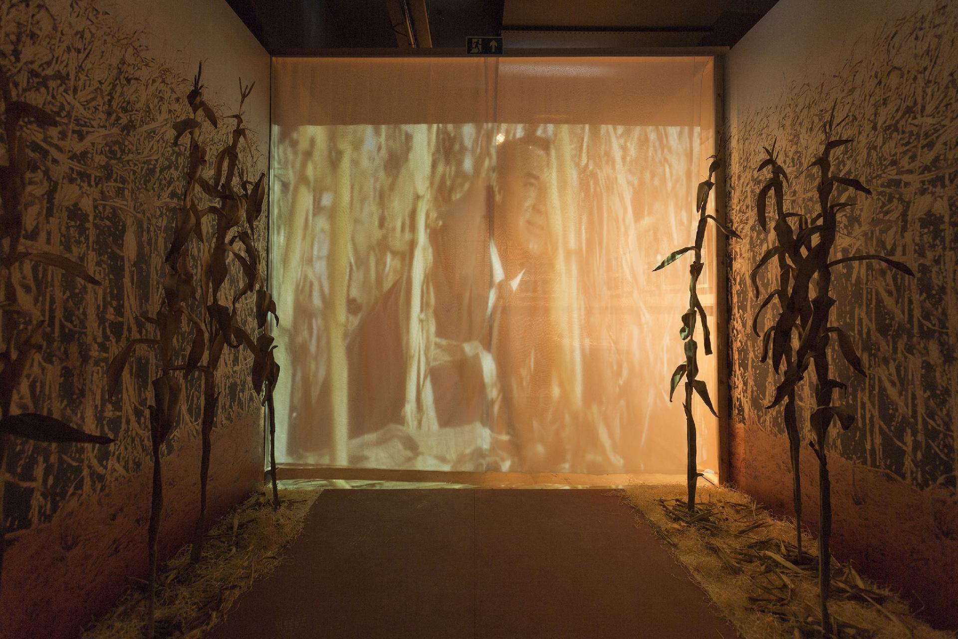 Exposição "Hitchcock: Bastidores do Suspense", no MIS, em São Paulo, mostra detalhes dos filmes feitos por Alfred Hitchcock - Gabo Morales/UOL