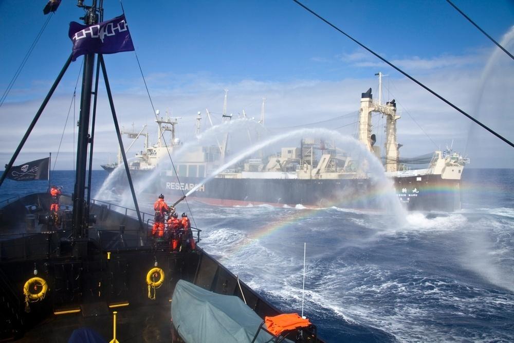 Fotos de Barbara Veiga durante expedição na Antártida - Barbara Veiga