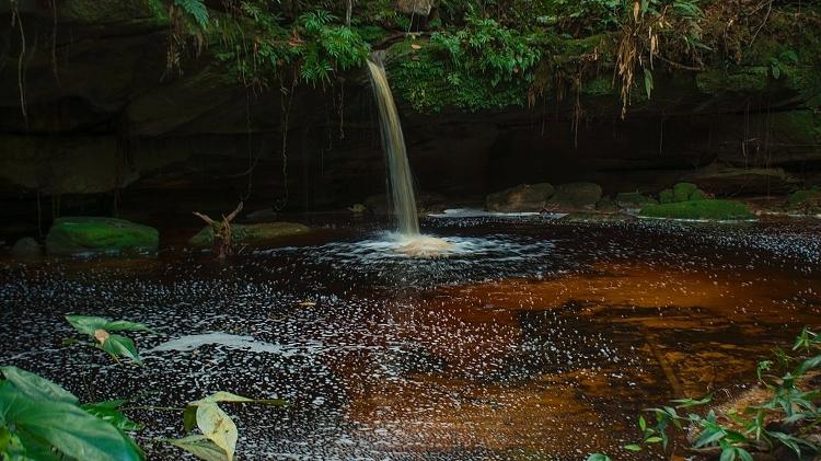 Cachoeira no Parque Nacional do Jaú (AM). - Meyriane de Mira Teixeira, CC BY-SA 4.0 - Meyriane de Mira Teixeira, CC BY-SA 4.0