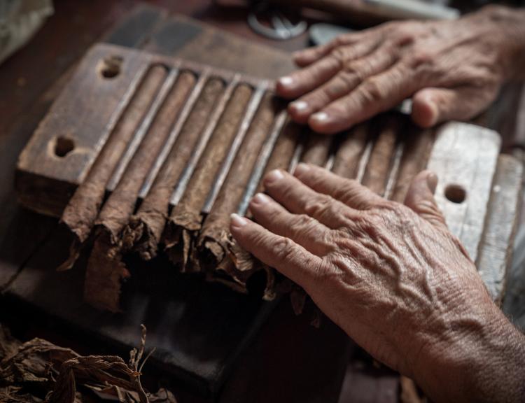 Charuto cubano sendo enrolado - Arsgera/Getty Images/iStockphoto - Arsgera/Getty Images/iStockphoto