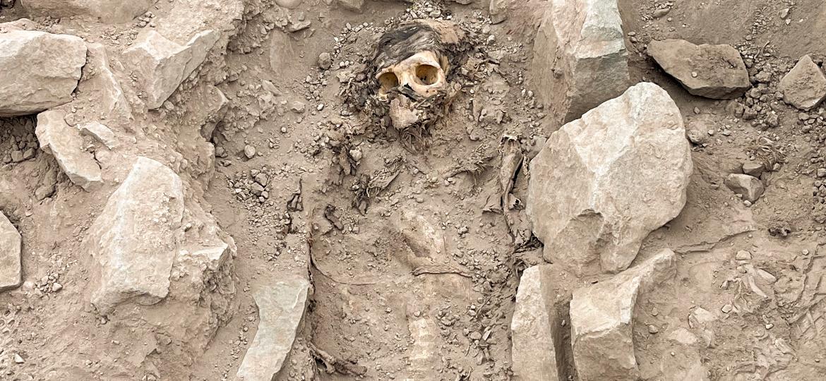 Múmia do Peru vestiu o verde da Natura Pura - Braga - Jornal de