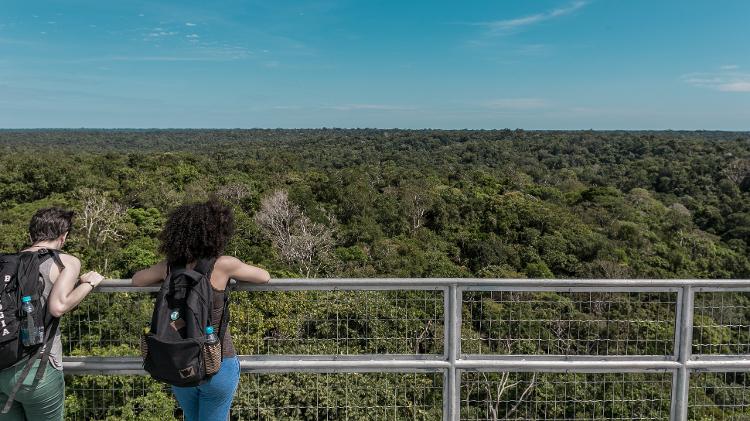 Vista da torre do Museu da Amazônia