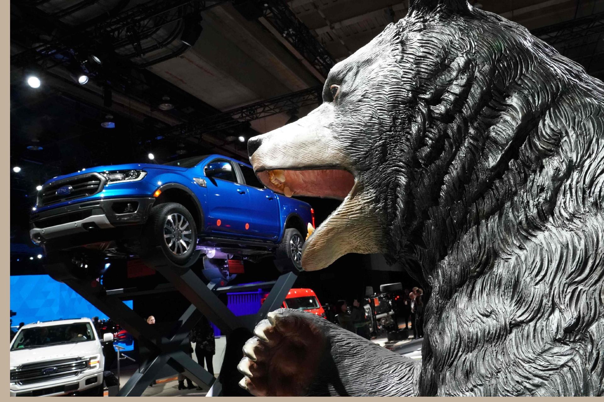 Urso comedor de picapes - Timothy A. Clary/AFP