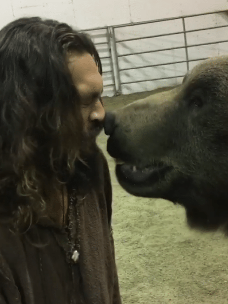 Jason Momoa mostra vídeo com urso domesticado da série See - Reprodução/Instagram