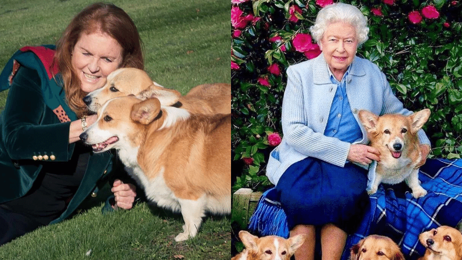 Sarah Ferguson e o príncipe Andrew são os atuais tutores dos cães deixados pela rainha Elizabeth 2ª - Reprodução/Instagram e Divulgação