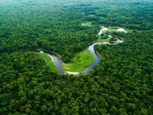Dez mil sítios arqueológicos pré-colombianos estão escondidos na Amazônia