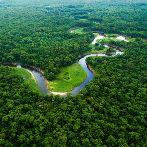 Desmatamento na Amazônia é até 83% menor em áreas protegidas por indígenas