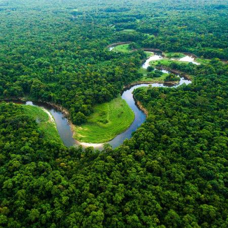 Floresta Amazônica