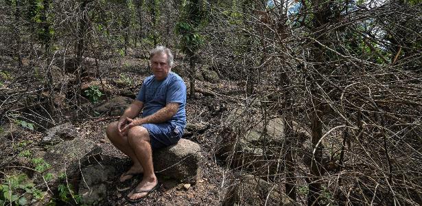 Cafezais sofrem com o clima no Brasil e preço dispara no mundo