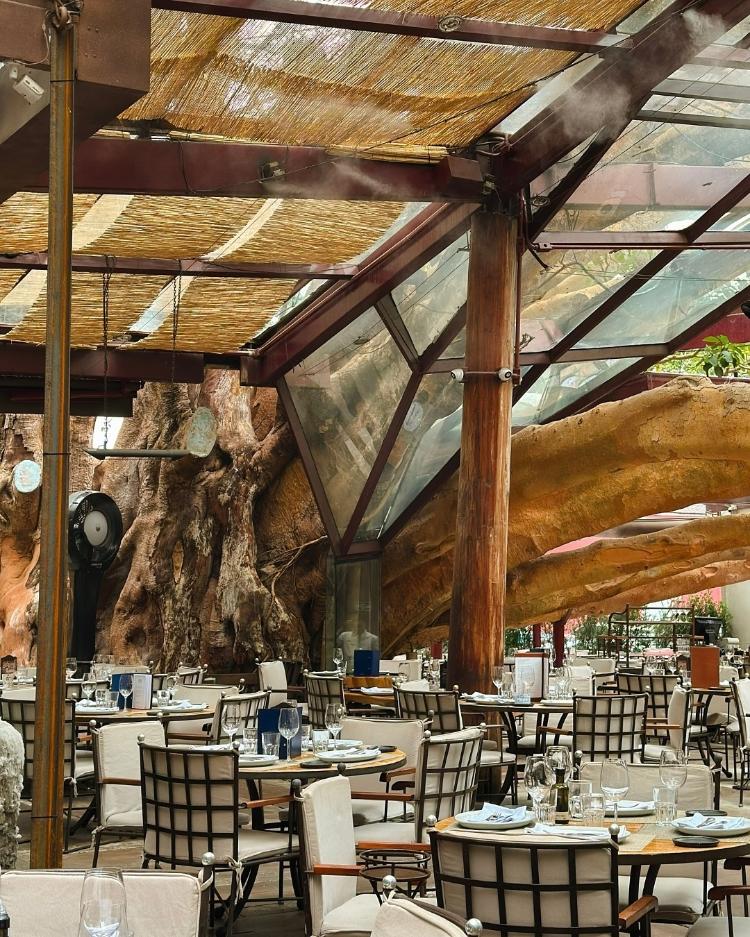 Ambiente do A Figueira Rubaiyat Ambiente do A Figueira Rubaiyat