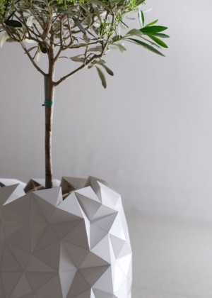 detalhe do vaso Growth criado pelo Studio Ayaskan - Thomas Essl/ Divulgação/ Studio Ayaskan - Thomas Essl/ Divulgação/ Studio Ayaskan