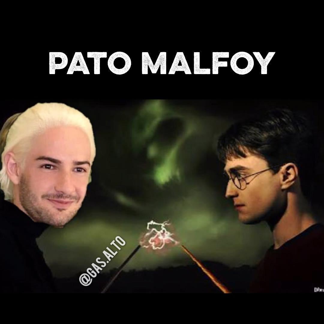 Pato vira "Draco Malfoy" em montagem com Harry Potter - Reprodução/Instagram/gas.alto
