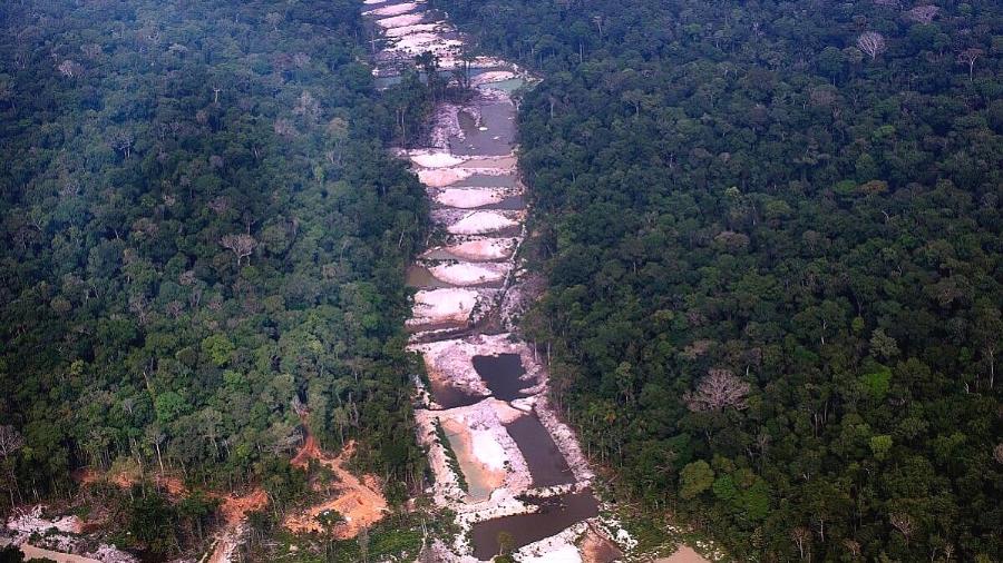 Imagem de arquivo; Entre janeiro e agosto, o desmatamento recuou 1,2% e ficou em 6.026 quilômetros quadrados - MARIZILDA CRUPPE / AMAZÔNIA REAL| FOTOS PÚBLICAS