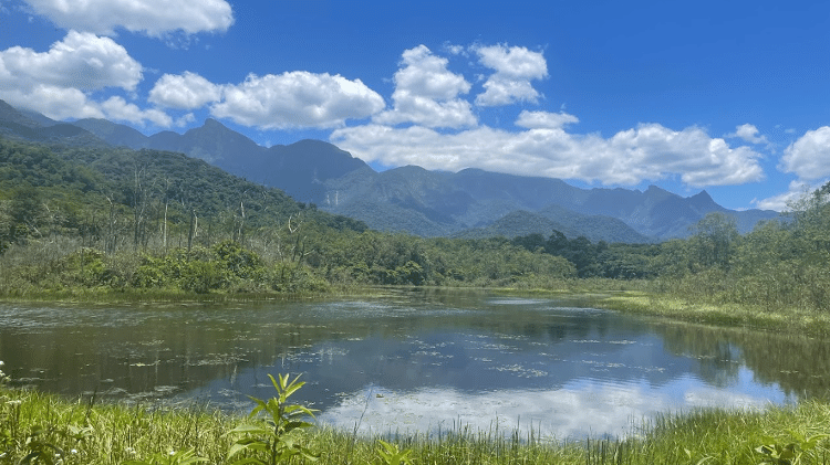 Reserva Ecológica de Guapiaçu - Sarah Brown/Mongabay - Sarah Brown/Mongabay