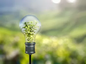 Sustentáveis e inovadoras: 3 iniciativas 'fora da caixa' na área de ESG