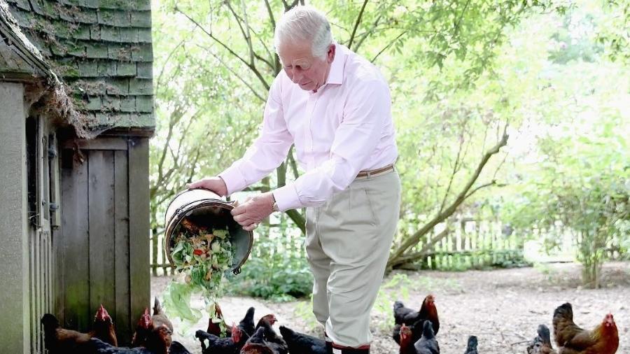 Príncipe Charles alimenta suas galinhas em seu palácio rural - Reprodução/Instagram
