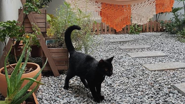 Micaela compartilha algumas dicas para renovar a decoração do seu lar - Arquivo Pessoal - Arquivo Pessoal