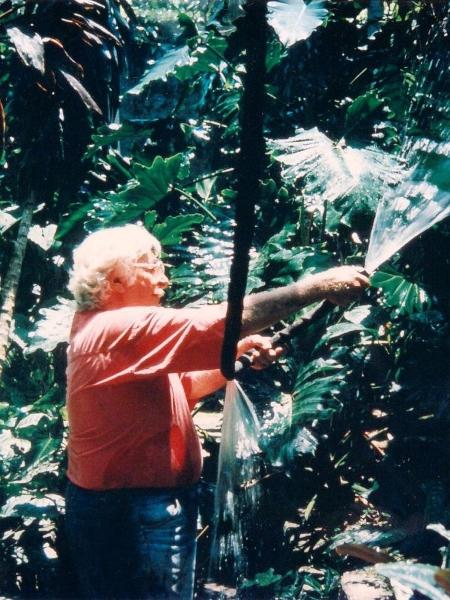 Burle Marx aguando a vegetação do sítio, que agora foi considerado Patrimônio Mundial - Reprodução Instagram