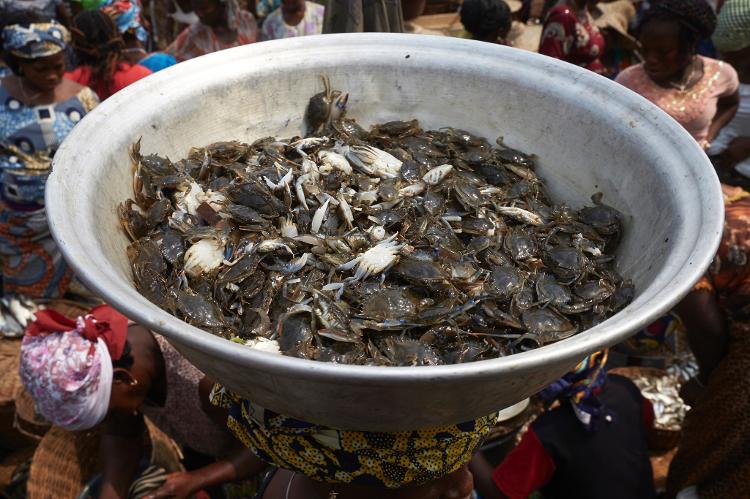 Mulher vendendo carangueijos na cabeça no Mercado de Dantokpa