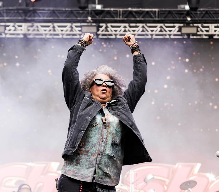 Sandra de Sá durante show no sábado (13), no Allianz Parque, em São Paulo