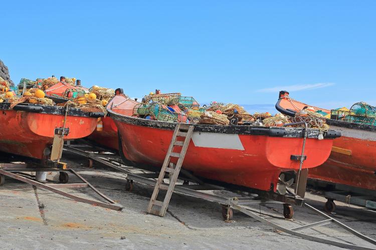 Tristão da Cunha depende bastante da pesca de lagostas