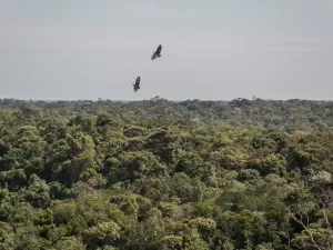 'Salve' do Comando Vermelho provoca foguetório e assassinato na Amazônia