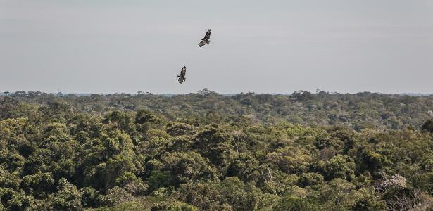 'Salve' do Comando Vermelho provoca foguetório e assassinato na Amazônia